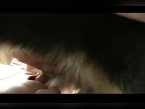 Hardcore animal fucking: Dog fucks a woman without mercy in this wild sex