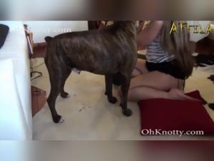 Sluts and Dogs: A Forbidden Passion