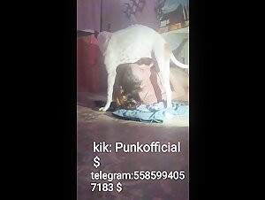 Hard and extreme scenes of bestiality