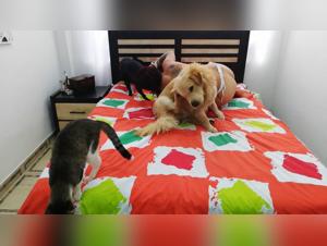 Besos salvajes con apariencia feroz: Carol 2 y su perro en un ritual de placer extremo