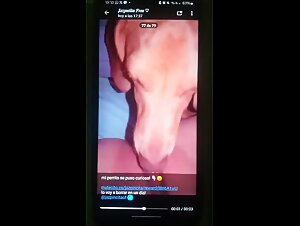 Shocking bestiality videos with Jasmine and her dog