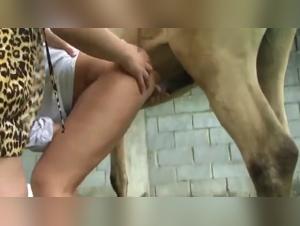 Asian Beauties Bestiality On Porn Video