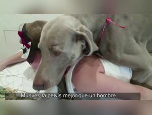 Go beyond the limits: Canine Domination and Female Desire