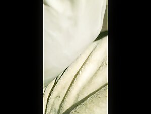 Dog Sex Videos: An Exciting Experience