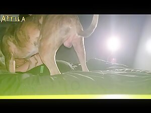 Zoophilie-Video: Eine Frau ohne Grenzen und ihr Abenteuer mit einem Hund