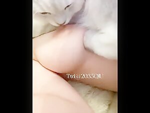 Dog sex videos: discover our selection