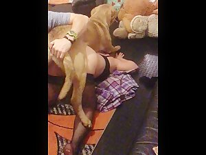 Sex video with a dog: a story of extreme zoophilia