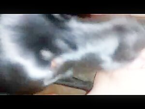 Explore the limits of passion in this bestiality bestiality sex video