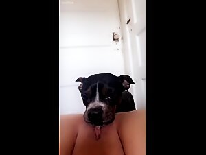Watch this zoophilia adult video and discover the pleasure of animal sex