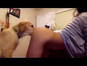 Explore Animal Hell: Hardcore, Cum, and Canine Domination
