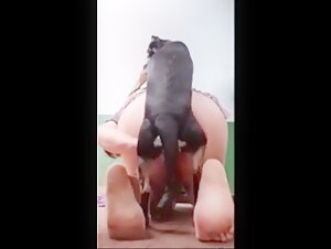 Indian Woman and Dog: An Extreme Sex Video