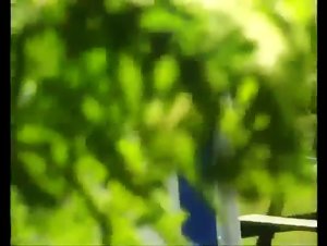 Zoophilia Bestiality Sex Videos That Push the Boundaries