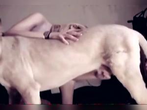 Wild Sexploitation: Uncontrollable Desire