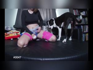 Video 02: Untamed Milly and her Animated Sharing
