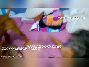 Creampie and Banging: A Heifer Dominated and Used