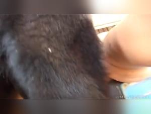 Summer Doggy Collection: Feminine Energy and Raw Passion in Fusion