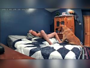 Zoofilia Intense Video - Animal Scenes Riding Women