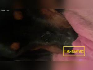 Hot saliva, uncontrollable animal instinct