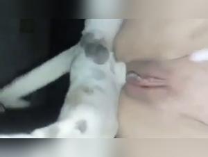 Fuck sucks his dog, Bestial Fetishism without limits