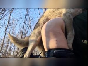 Pounding, Riding, and Animal Pleasure - Active Horse Fuck Women 5 Reveals the Limits of Desire.