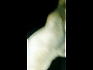 Free XXX animal porn and slutty Arab girl sucks dog solo