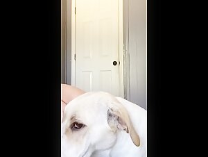 Shocking zoophilia video with pregnant teenager