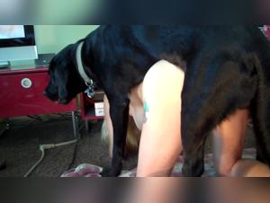 Succion Démoniaque, Pénetration Canine Savage