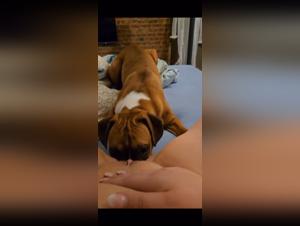 Animal Domination: A French Woman Obsessed with her Dog
