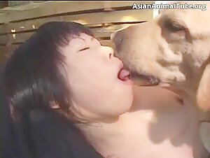 Sex with Dogs Videos: Discover the World of Ecstasy with Dogs