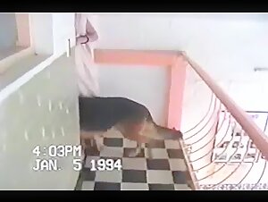 Check out the Most Extreme Sex Video with Dog