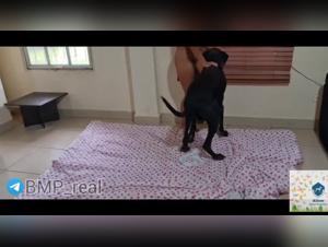 Brutal Kiss, Bestial Desire: The Abyss of Mia and her Dog