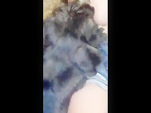 Bestiality and extreme: a unique experience
