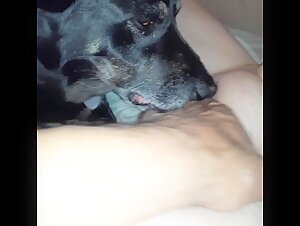 Sex Videos with Animals: Discover the World of Zoophilia
