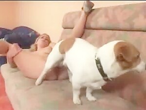 Dog sex video: a woman subjected to a dog