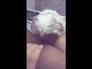 Discover ArtofZoo and its Dog Sex Videos