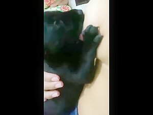 Vidéo de Zoophilie Extrême : Une Jeune Femme et Son Chien