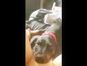 Hardcore-Bestialitatsszenen mit Hunden