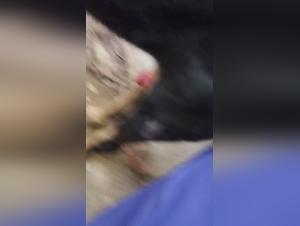 Fuck submits his dog to obscene fantasies