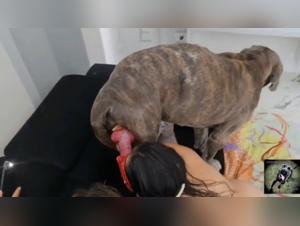 canine power, merciless domination, prohibited experiences