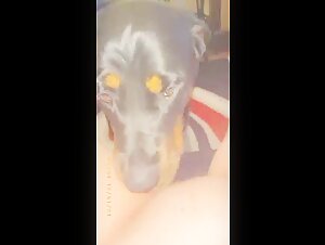 Extreme Bestiality: Watch this Mistress and her Dog