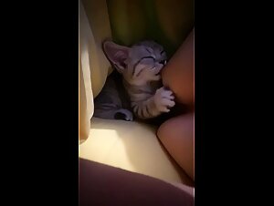 Animales y sexo: !la fiera salvaje te espera!