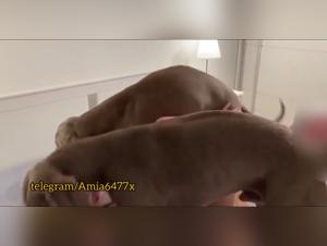 Hardcore Dog Sex: Fiery and Irresistible Delight