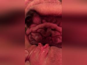 Intense Satisfaction: The Girl and Her Animal Love