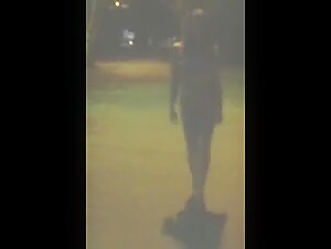 Experience the Thrill of Dog Sex and Zoophilia