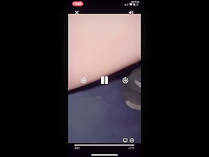 An Exciting Experience with a Dog