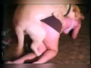 Delices Bruts: The Forbidden Connection between Woman and Dog
