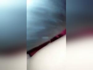 Brutal pounding: The slut gets fucked by her chihuahua