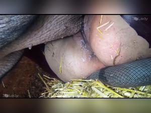 Cerda dominante, mujer sumisa: Bestialidad en estado puro