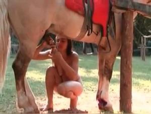 Equine Fantasies in the Tropical Sun