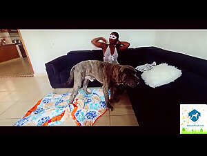 Dog penis sucking, multiple orgasms and feline slavery